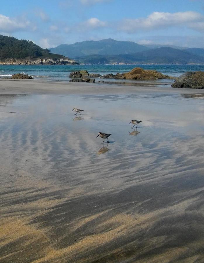 Apartamentos Playa De La Concha Porto de Espasante Dış mekan fotoğraf